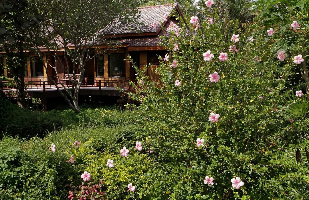 Baan Krating Pai Resort - Sha Plus-1